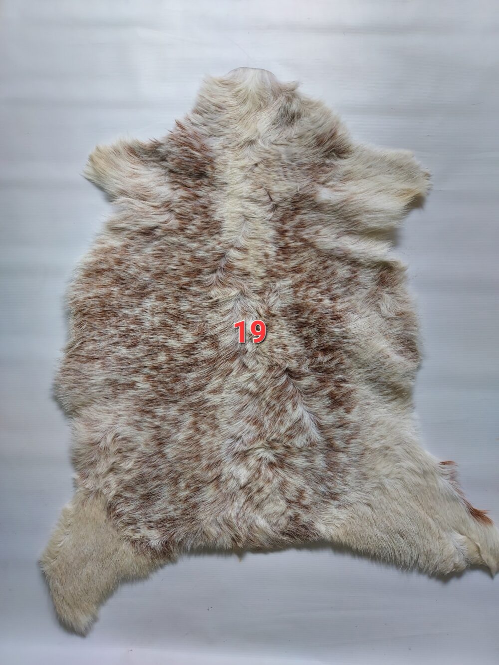 Kozia skóra dekoracyjna Skóry dekoracyjne Producent owczych skór dekoracyjnych | Tannery Sheepskin | KalSkór 20