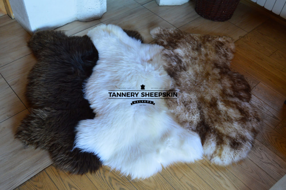 Beschadigde schapenvachten skóry owcze uszkodzone Producent owczych skór dekoracyjnych | Tannery Sheepskin | KalSkór 7