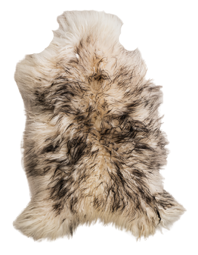 Island sheepskin, black – mouflon with curly hair mouflons Producent owczych skór dekoracyjnych | Tannery Sheepskin | KalSkór