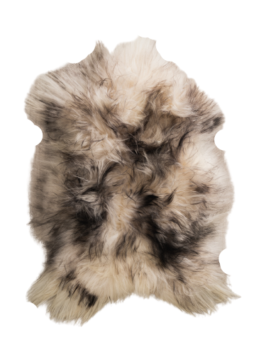 Island sheepskin, black – mouflon mouflons Producent owczych skór dekoracyjnych | Tannery Sheepskin | KalSkór
