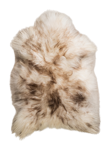 Island sheepskin, gray – mouflon mouflons Producent owczych skór dekoracyjnych | Tannery Sheepskin | KalSkór