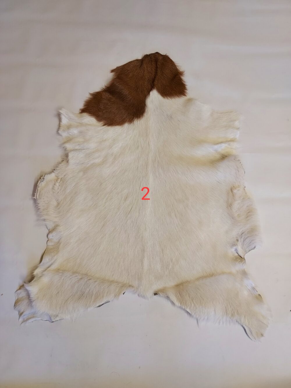 Decorative goat skin Decorative skins Producent owczych skór dekoracyjnych | Tannery Sheepskin | KalSkór 10