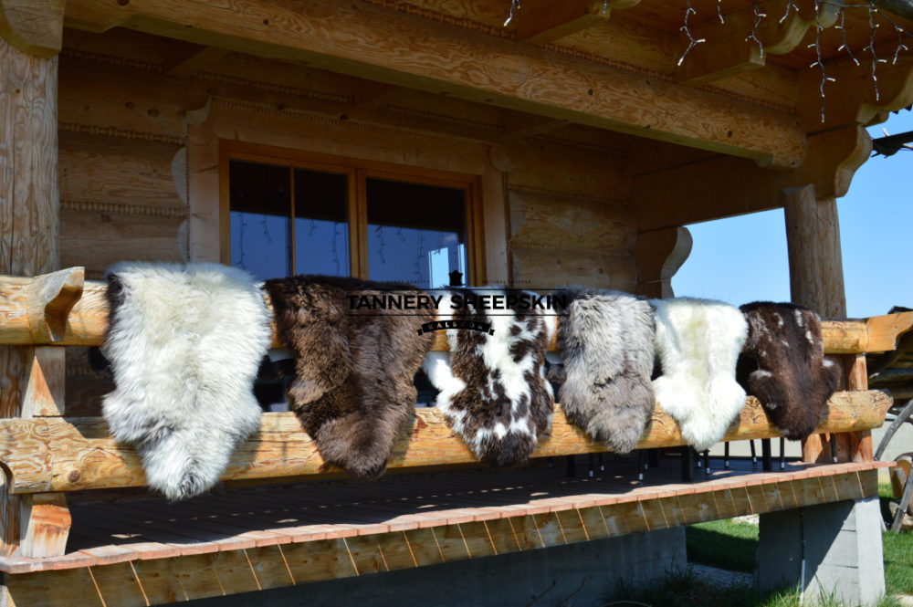 Sheepskin in natural colour in natural colours Producent owczych skór dekoracyjnych | Tannery Sheepskin | KalSkór 2