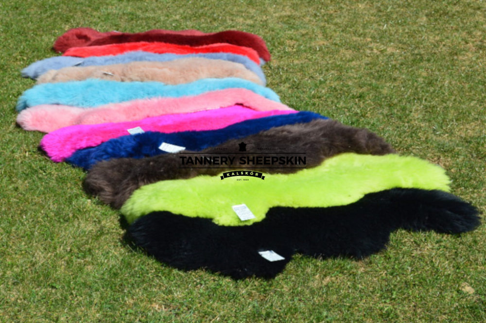 Sheepskin dyed in 14 colors dyed sheepskins Producent owczych skór dekoracyjnych | Tannery Sheepskin | KalSkór 4