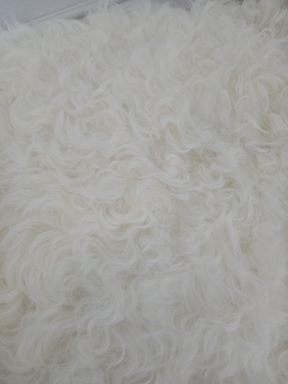 Pufa obszyta tybetańską skórą owczą pufy Producent owczych skór dekoracyjnych | Tannery Sheepskin | KalSkór 6