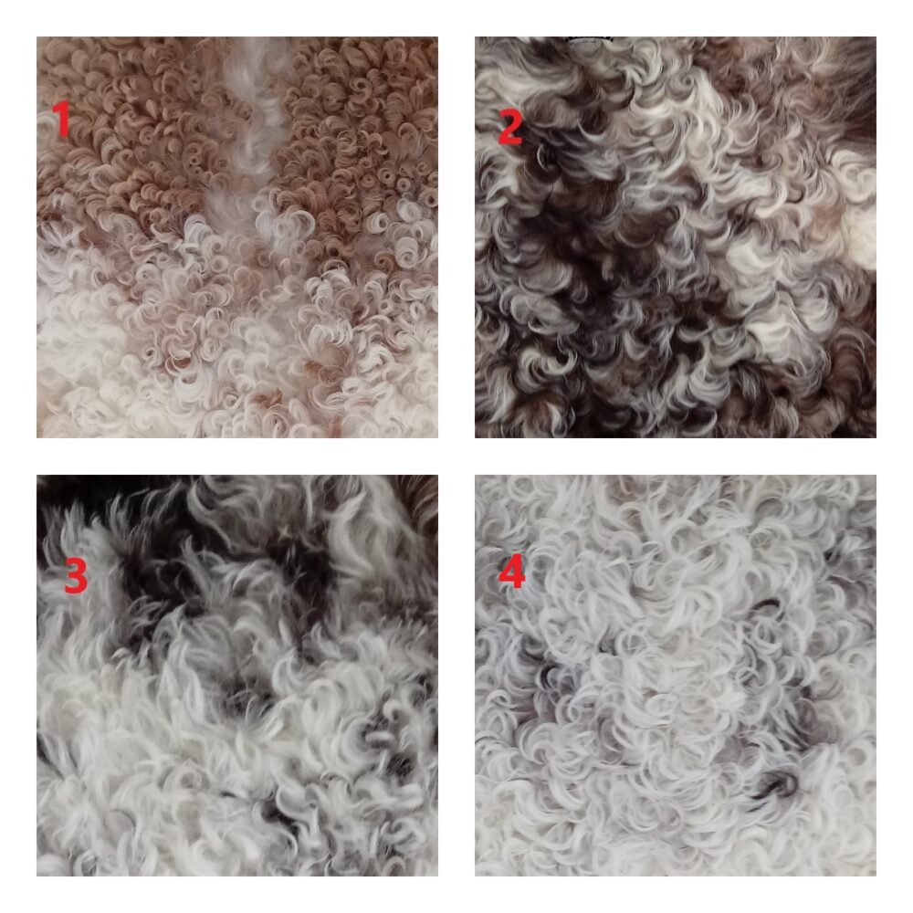 Pufa obszyta tybetańską skórą owczą pufy Producent owczych skór dekoracyjnych | Tannery Sheepskin | KalSkór 8
