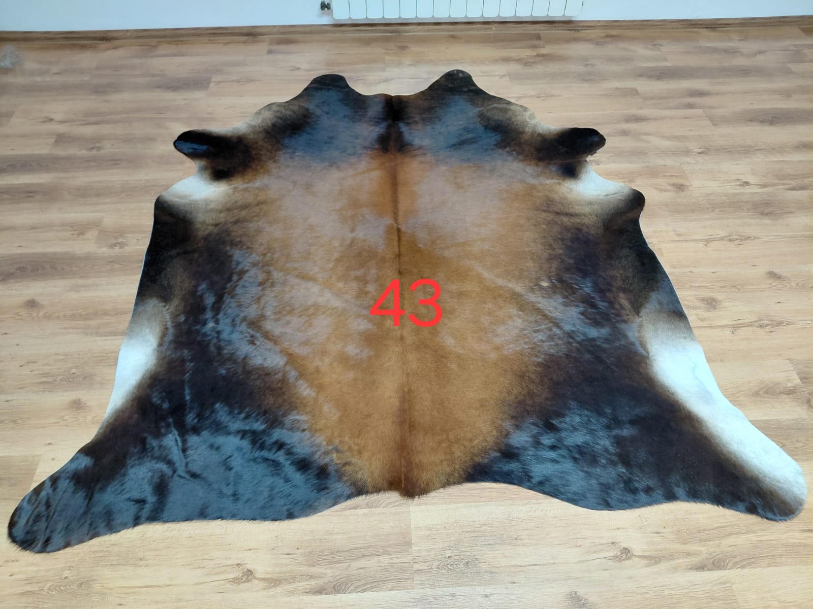 Dekoracyjna skóra z krowy argentyńskiej Skóry dekoracyjne Producent owczych skór dekoracyjnych | Tannery Sheepskin | KalSkór 23 Dekoracyjna skóra z krowy argentyńskiej Skóry dekoracyjne Producent owczych skór dekoracyjnych | Tannery Sheepskin | KalSkór 23