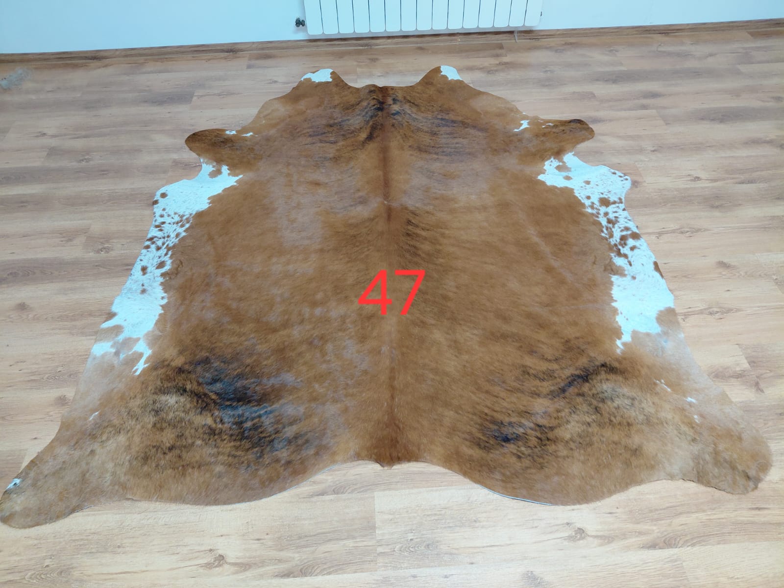 Dekoracyjna skóra z krowy argentyńskiej Skóry dekoracyjne Producent owczych skór dekoracyjnych | Tannery Sheepskin | KalSkór 27 Dekoracyjna skóra z krowy argentyńskiej Skóry dekoracyjne Producent owczych skór dekoracyjnych | Tannery Sheepskin | KalSkór 27