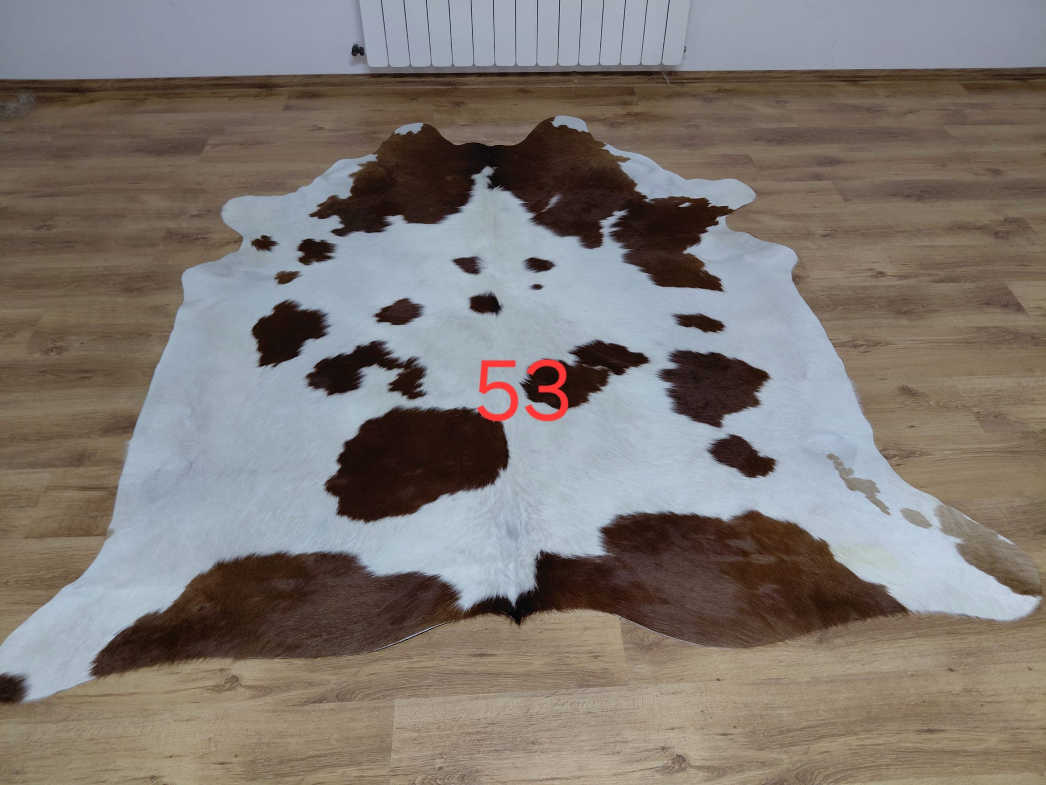 Dekoracyjna skóra z krowy argentyńskiej Skóry dekoracyjne Producent owczych skór dekoracyjnych | Tannery Sheepskin | KalSkór 6 Dekoracyjna skóra z krowy argentyńskiej Skóry dekoracyjne Producent owczych skór dekoracyjnych | Tannery Sheepskin | KalSkór 6