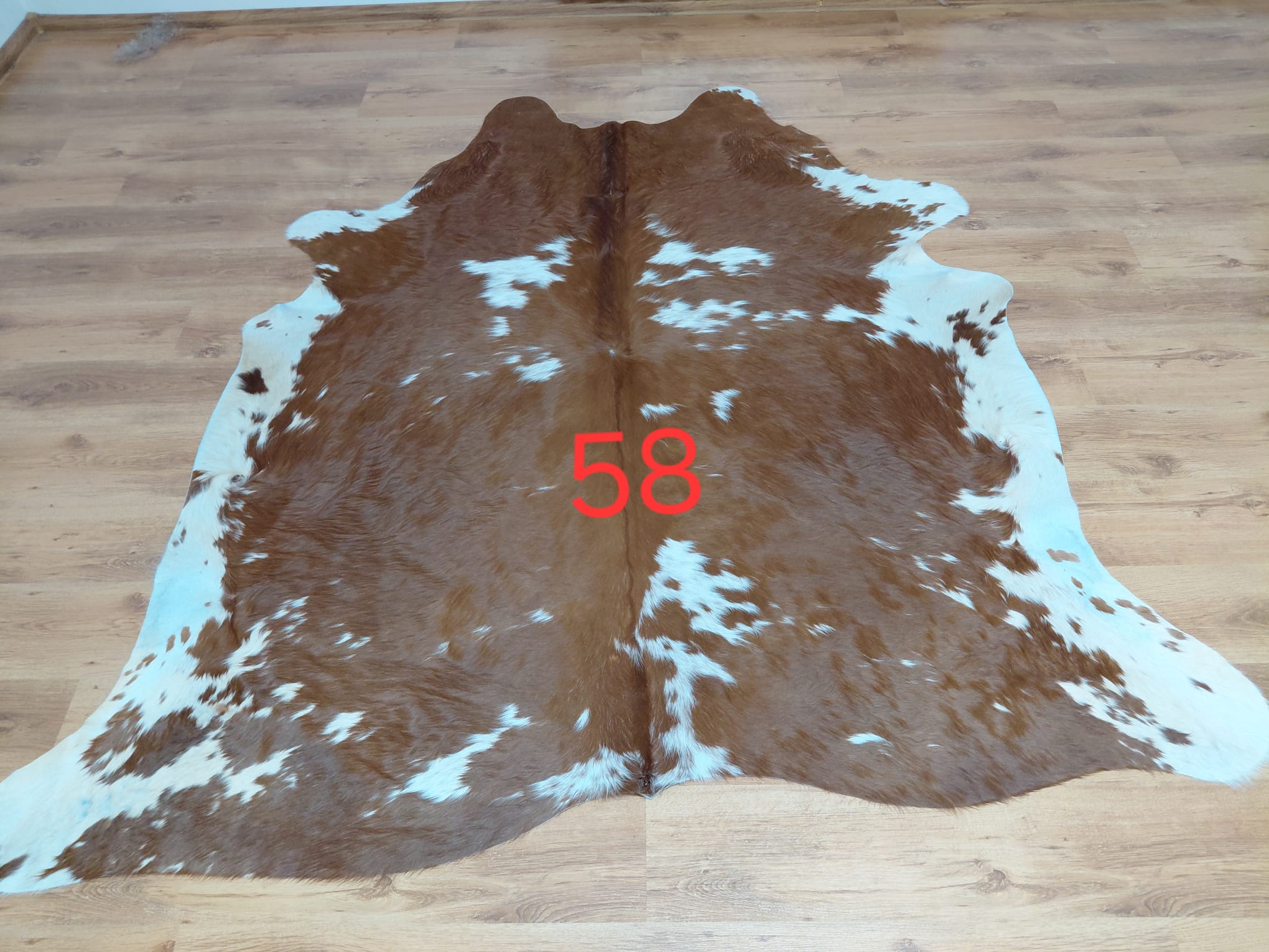 Dekoracyjna skóra z krowy argentyńskiej Skóry dekoracyjne Producent owczych skór dekoracyjnych | Tannery Sheepskin | KalSkór 11 Dekoracyjna skóra z krowy argentyńskiej Skóry dekoracyjne Producent owczych skór dekoracyjnych | Tannery Sheepskin | KalSkór 11