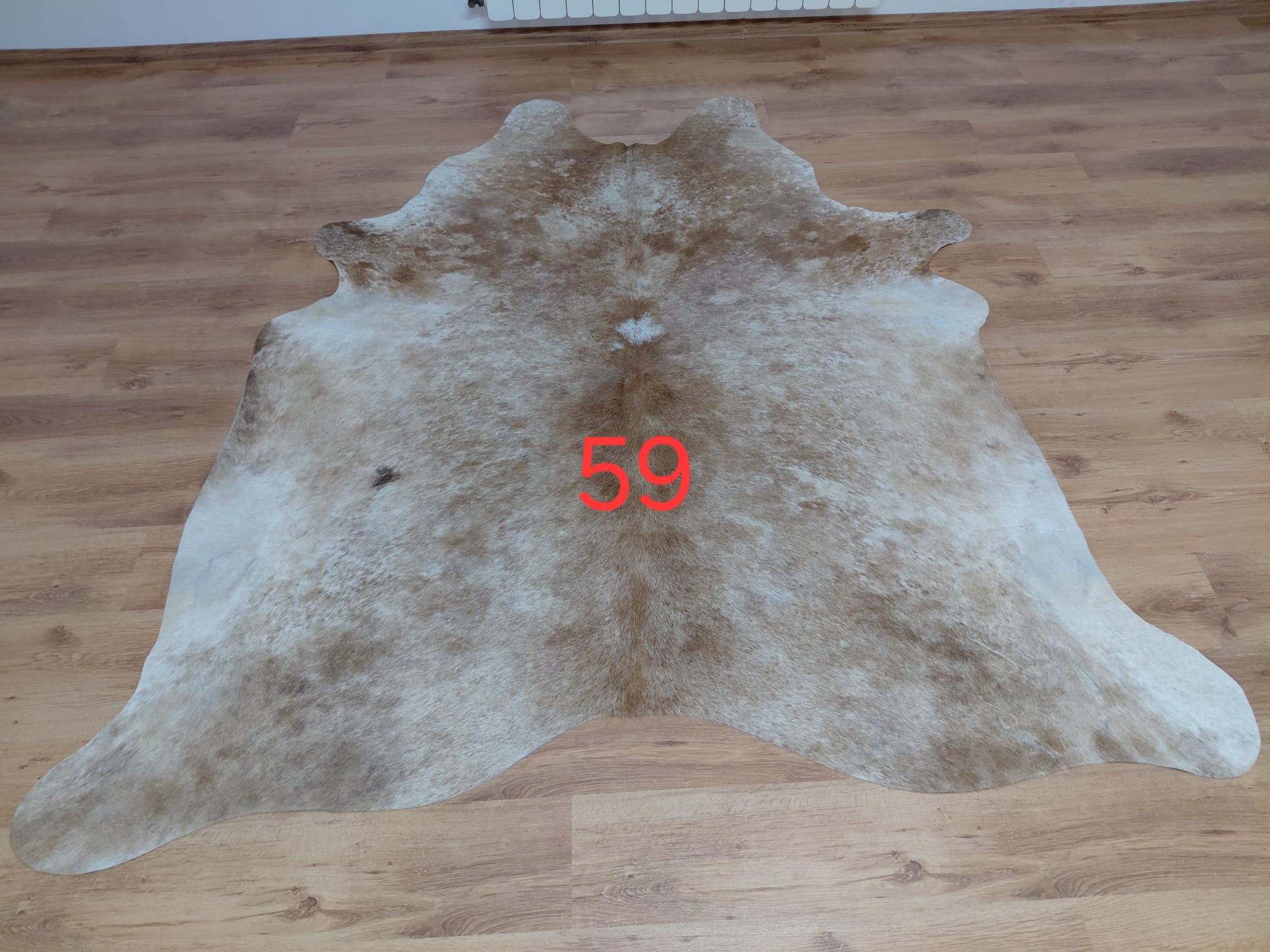 Dekoracyjna skóra z krowy argentyńskiej Skóry dekoracyjne Producent owczych skór dekoracyjnych | Tannery Sheepskin | KalSkór 12 Dekoracyjna skóra z krowy argentyńskiej Skóry dekoracyjne Producent owczych skór dekoracyjnych | Tannery Sheepskin | KalSkór 12