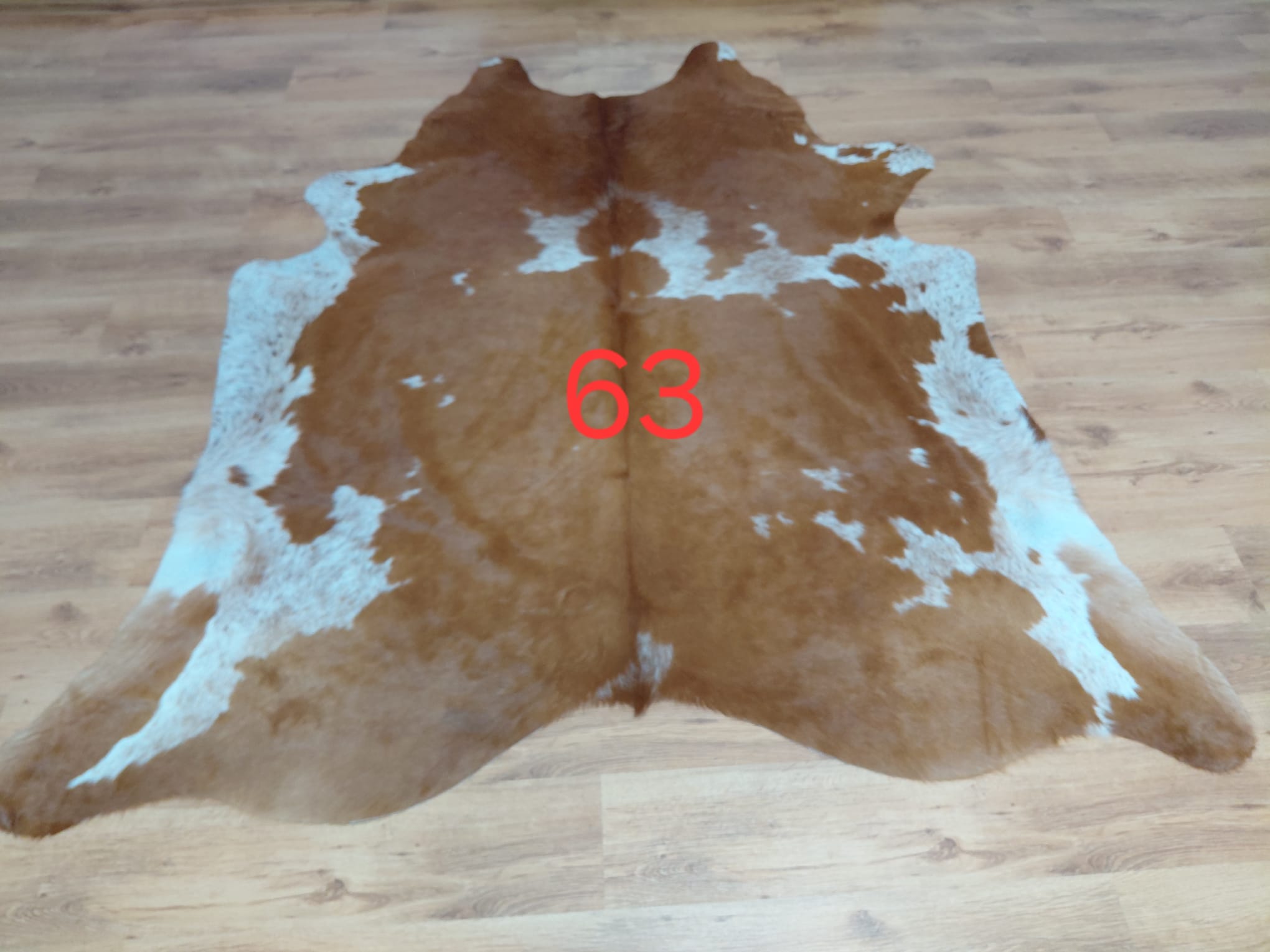 Dekoracyjna skóra z krowy argentyńskiej Skóry dekoracyjne Producent owczych skór dekoracyjnych | Tannery Sheepskin | KalSkór 16 Dekoracyjna skóra z krowy argentyńskiej Skóry dekoracyjne Producent owczych skór dekoracyjnych | Tannery Sheepskin | KalSkór 16