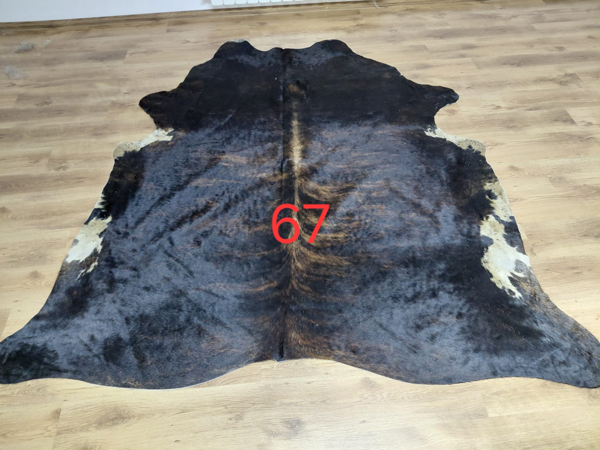 Dekoracyjna skóra z krowy argentyńskiej Skóry dekoracyjne Producent owczych skór dekoracyjnych | Tannery Sheepskin | KalSkór 20 Dekoracyjna skóra z krowy argentyńskiej Skóry dekoracyjne Producent owczych skór dekoracyjnych | Tannery Sheepskin | KalSkór 20