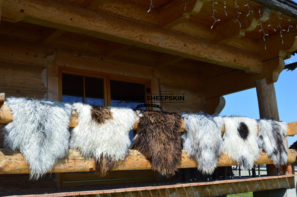 Sheepskin “Island” Natural Color Curly colours island Producent owczych skór dekoracyjnych | Tannery Sheepskin | KalSkór 11