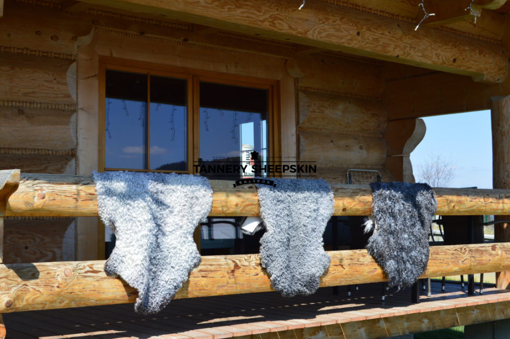 Skóra Owcza Gotland Skóry dekoracyjne Producent owczych skór dekoracyjnych | Tannery Sheepskin | KalSkór 4