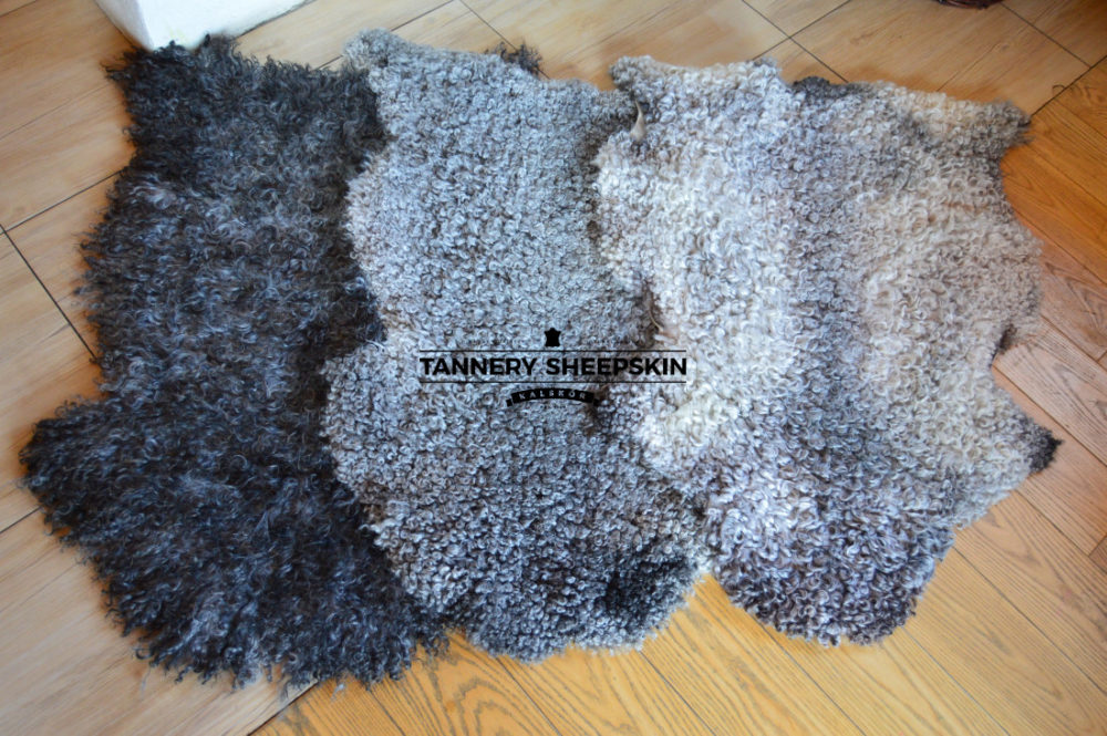 Skóra Owcza Gotland Decoratieve ledersoorten Producent owczych skór dekoracyjnych | Tannery Sheepskin | KalSkór 5