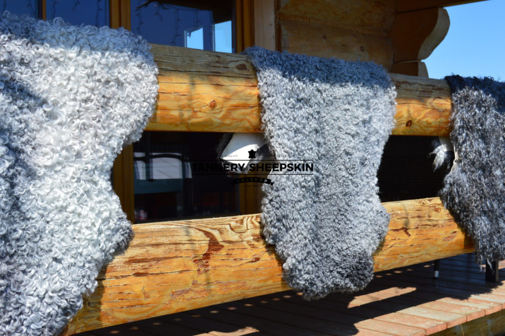 Skóra Owcza Gotland Decoratieve ledersoorten Producent owczych skór dekoracyjnych | Tannery Sheepskin | KalSkór 14