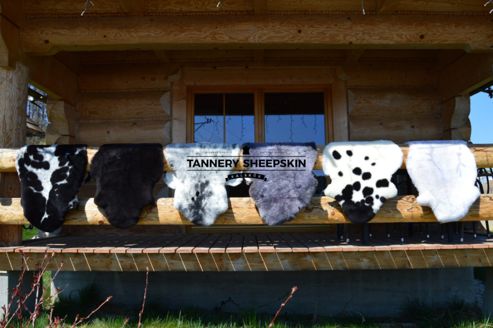 Sheepskins in Natural Colors Short Hair in natural colours Producent owczych skór dekoracyjnych | Tannery Sheepskin | KalSkór 8