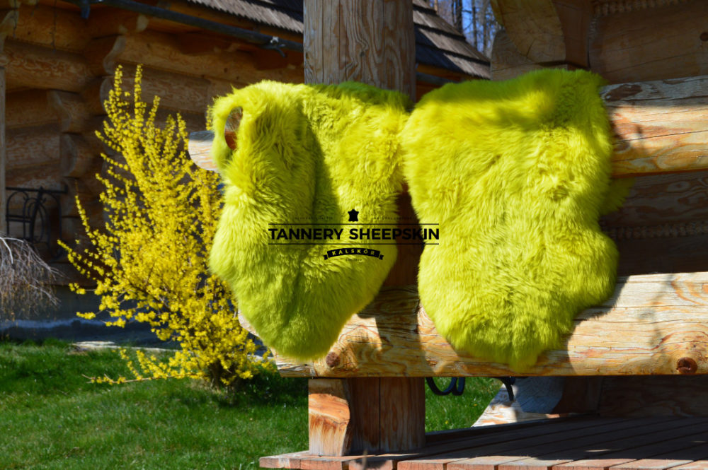 Yellow Dyed Sheepskins dyed sheepskins Producent owczych skór dekoracyjnych | Tannery Sheepskin | KalSkór 5