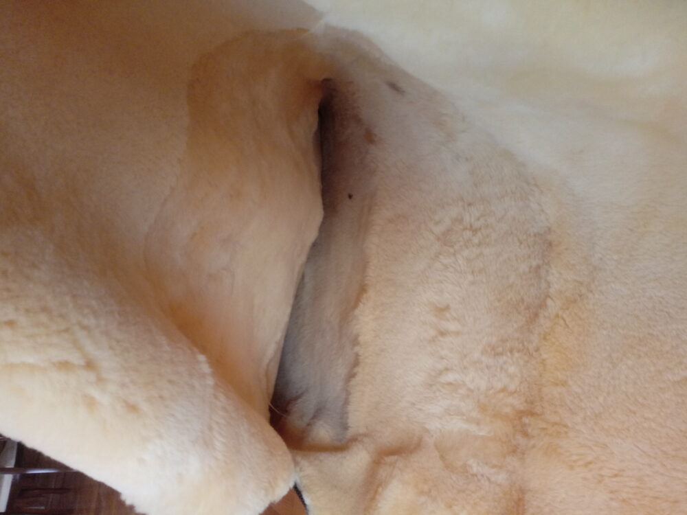 Śpiwór z Naturalnej Skóry Owczej Relugan+Poduszka Strefa Zdrowia Producent owczych skór dekoracyjnych | Tannery Sheepskin | KalSkór 4