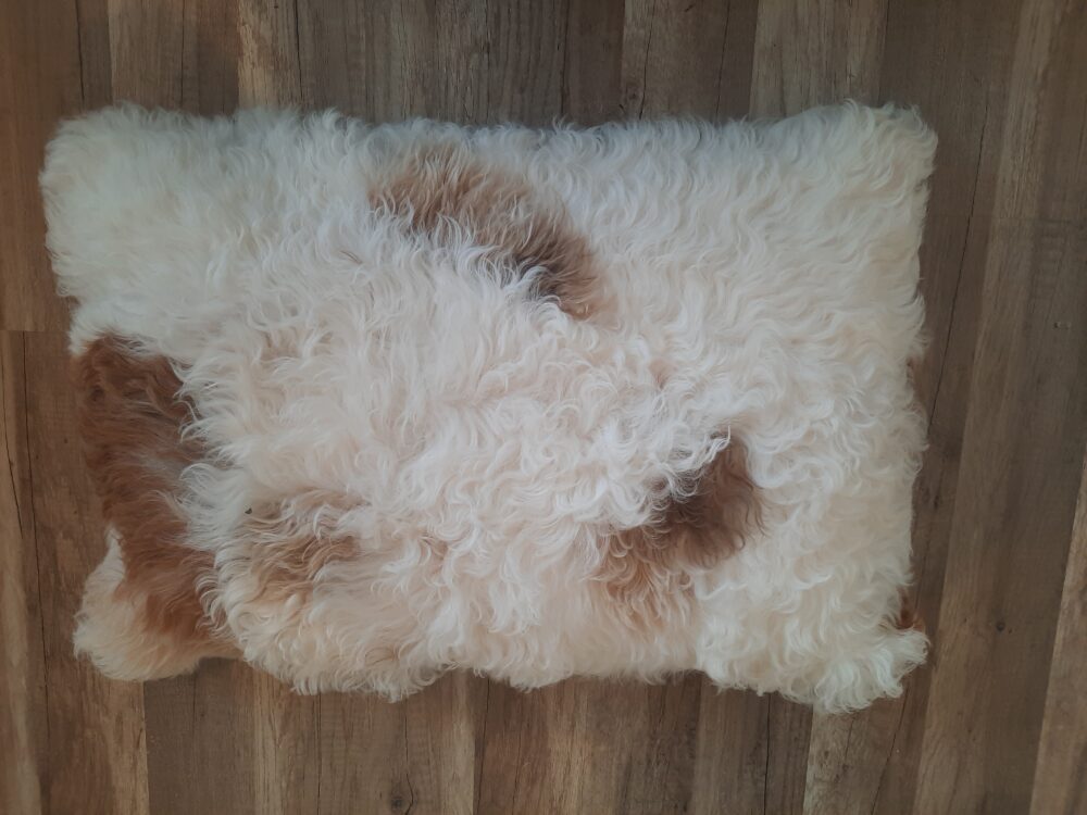 Poduszka Dekoracyjna Skóra Owcza Tybetańska poduszki Producent owczych skór dekoracyjnych | Tannery Sheepskin | KalSkór 4