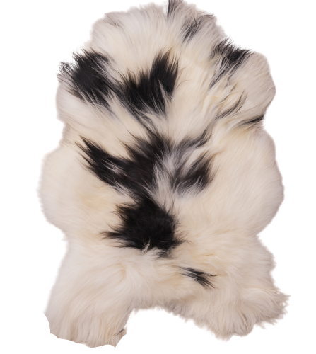 Skóra Owcza Island Łaciaty Kolor Naturalny Skóry owcze Producent owczych skór dekoracyjnych | Tannery Sheepskin | KalSkór
