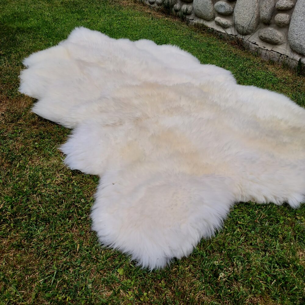 Bearskin Sheepskin Natural Rug Carpets and bedspreads Producent owczych skór dekoracyjnych | Tannery Sheepskin | KalSkór 8