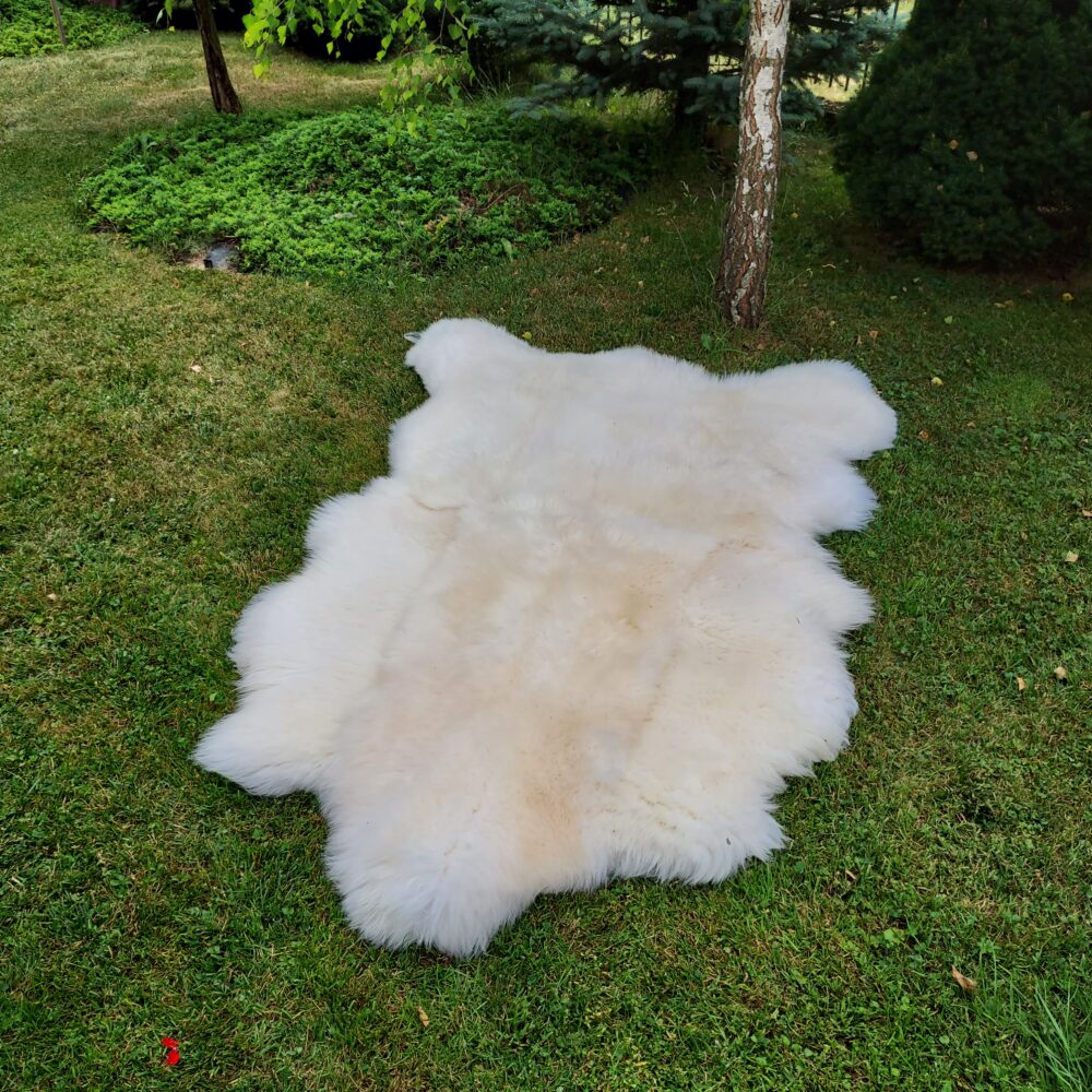 Bearskin Sheepskin Natural Rug Carpets and bedspreads Producent owczych skór dekoracyjnych | Tannery Sheepskin | KalSkór 3