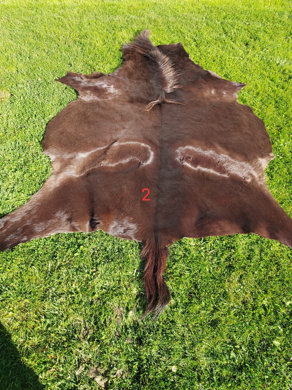 Decorative Foal Horse Leather Decorative skins Producent owczych skór dekoracyjnych | Tannery Sheepskin | KalSkór 2