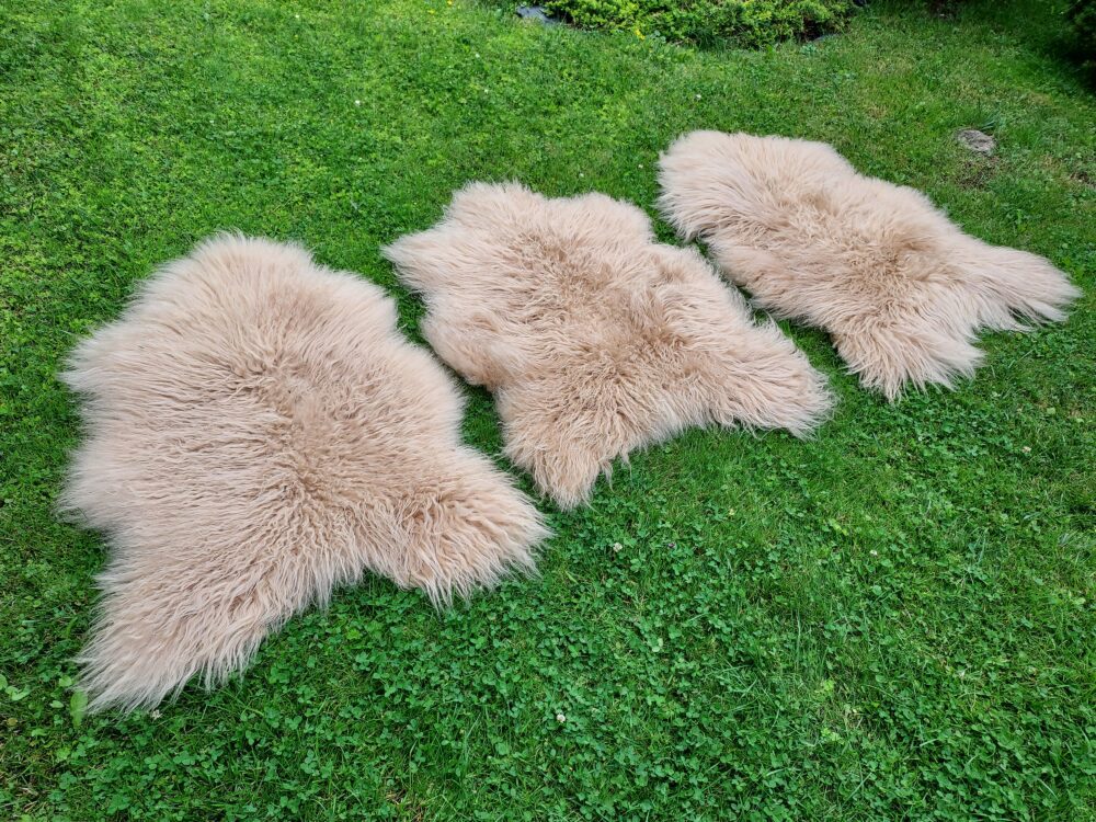 Sheepskins “Island” Cappuccino Curly Hair island dyed Producent owczych skór dekoracyjnych | Tannery Sheepskin | KalSkór 4