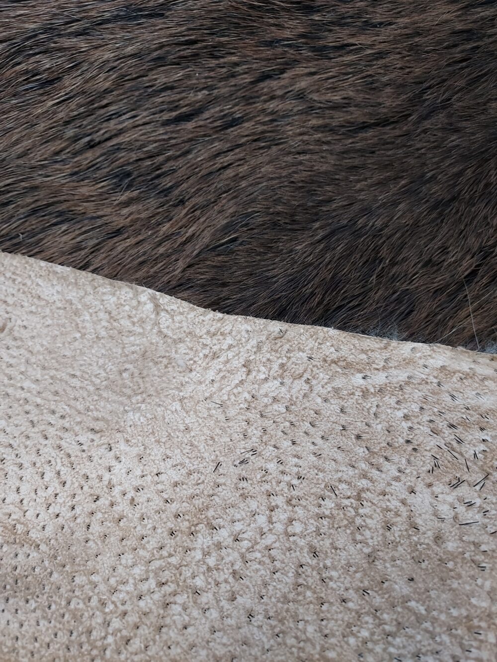 Wild boar skin Boar leather Wild boar Decorative skins Producent owczych skór dekoracyjnych | Tannery Sheepskin | KalSkór 4
