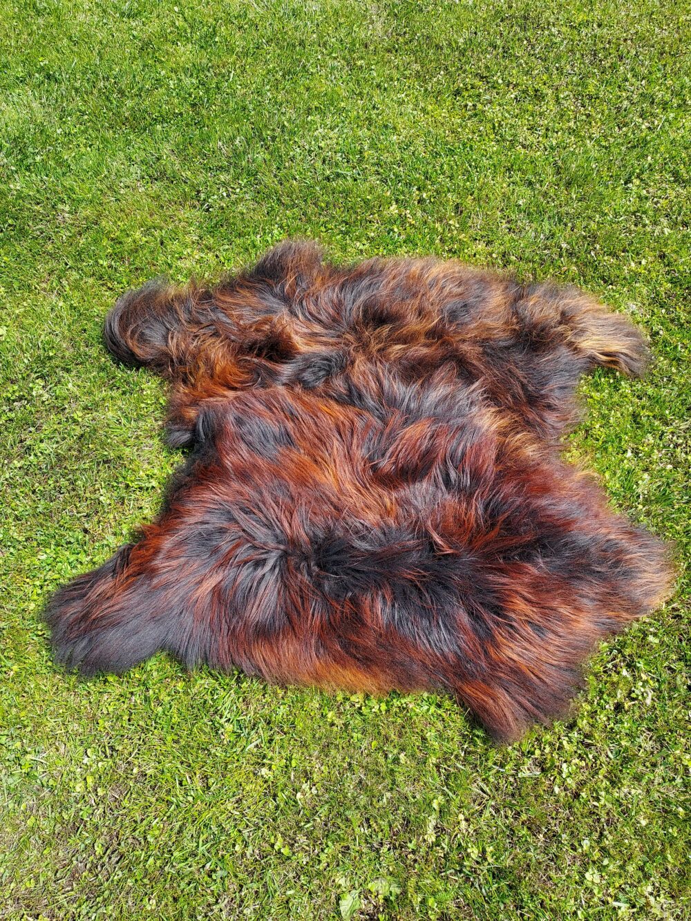 Two Leather Stitched Back Island Natural Fire Black Stitched sheepskins Producent owczych skór dekoracyjnych | Tannery Sheepskin | KalSkór 3