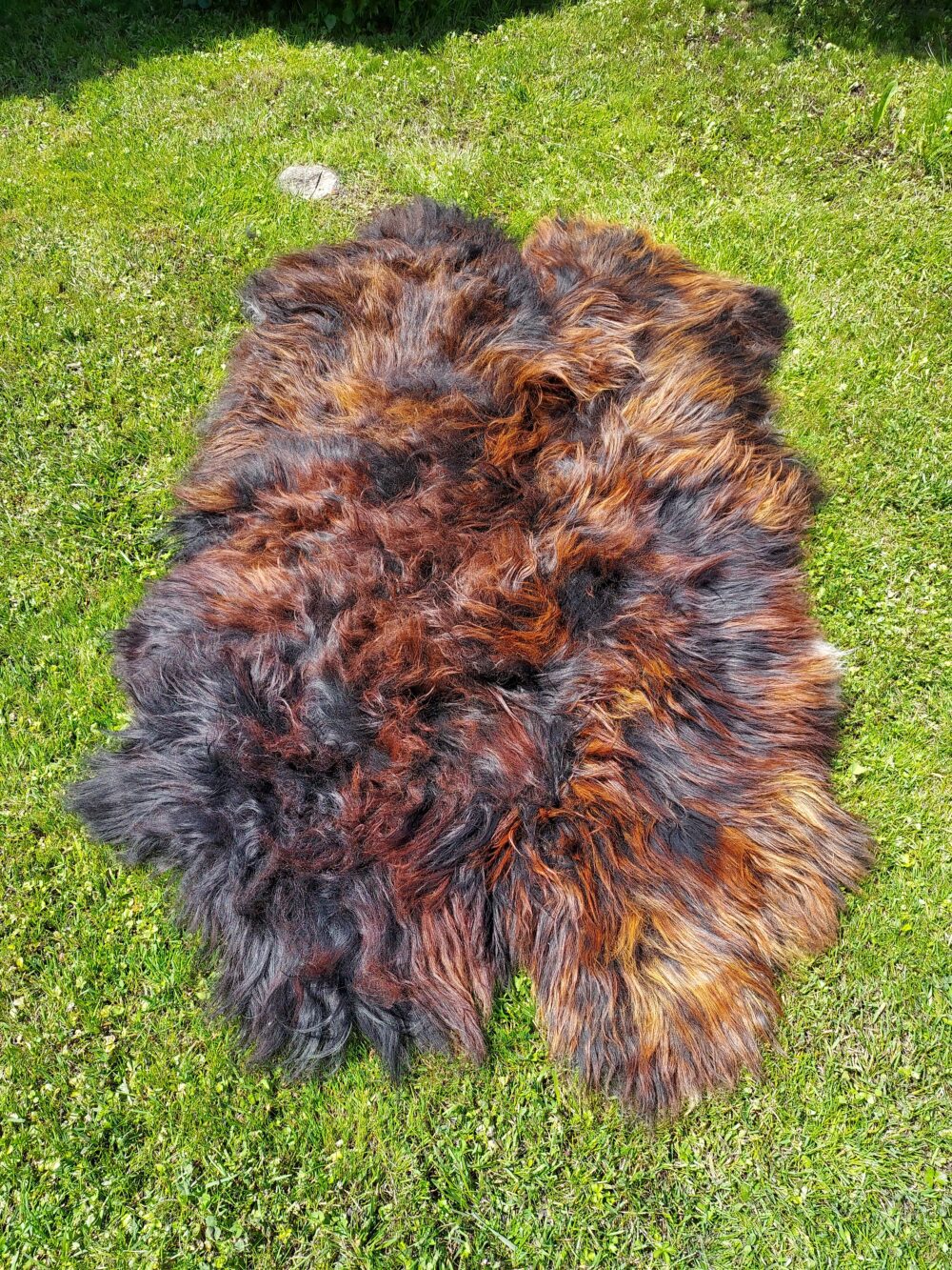 Four stitched Leather sheepskins Island Natural Fire Black Stitched sheepskins Producent owczych skór dekoracyjnych | Tannery Sheepskin | KalSkór 6