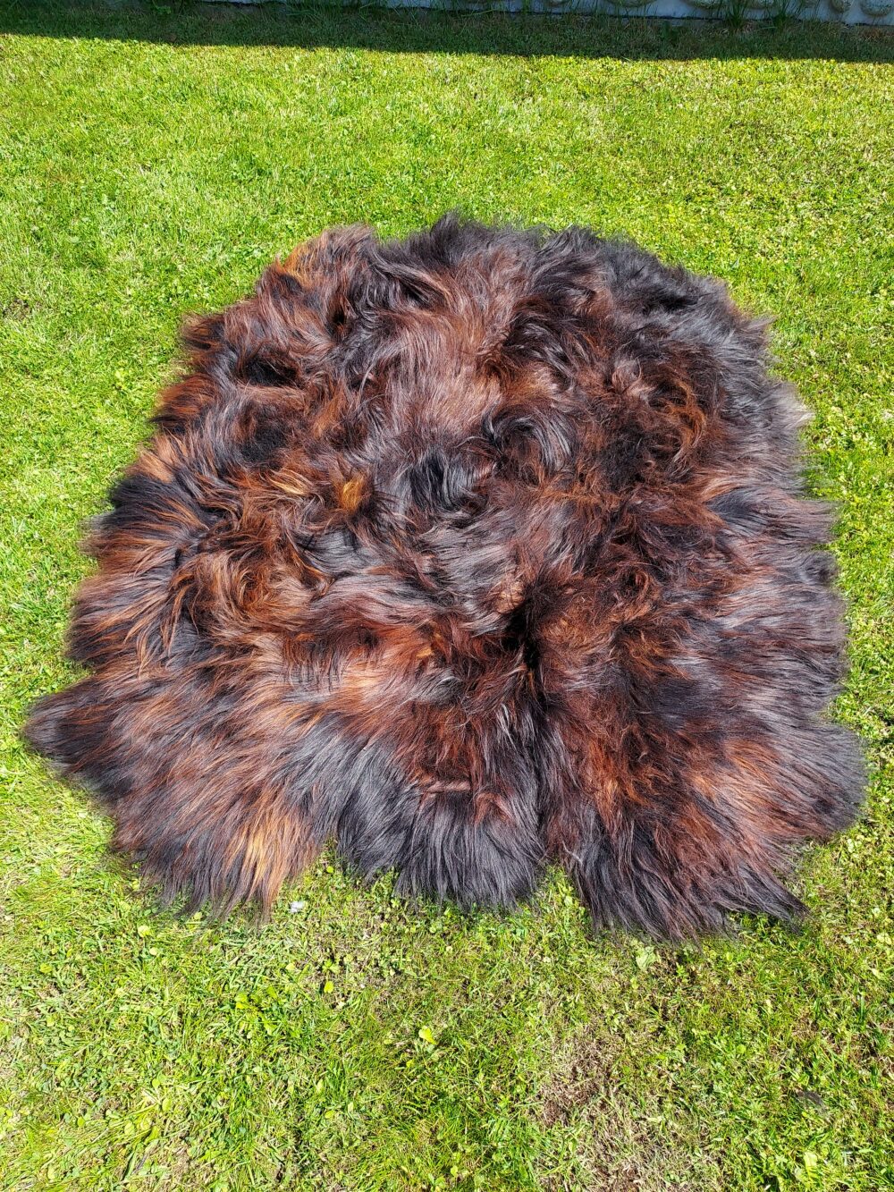 Six Stitched Leathers “Island” Natural Fire Black Stitched sheepskins Producent owczych skór dekoracyjnych | Tannery Sheepskin | KalSkór 3