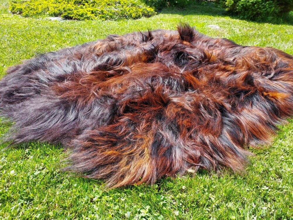 Six Stitched Leathers “Island” Natural Fire Black Stitched sheepskins Producent owczych skór dekoracyjnych | Tannery Sheepskin | KalSkór 5