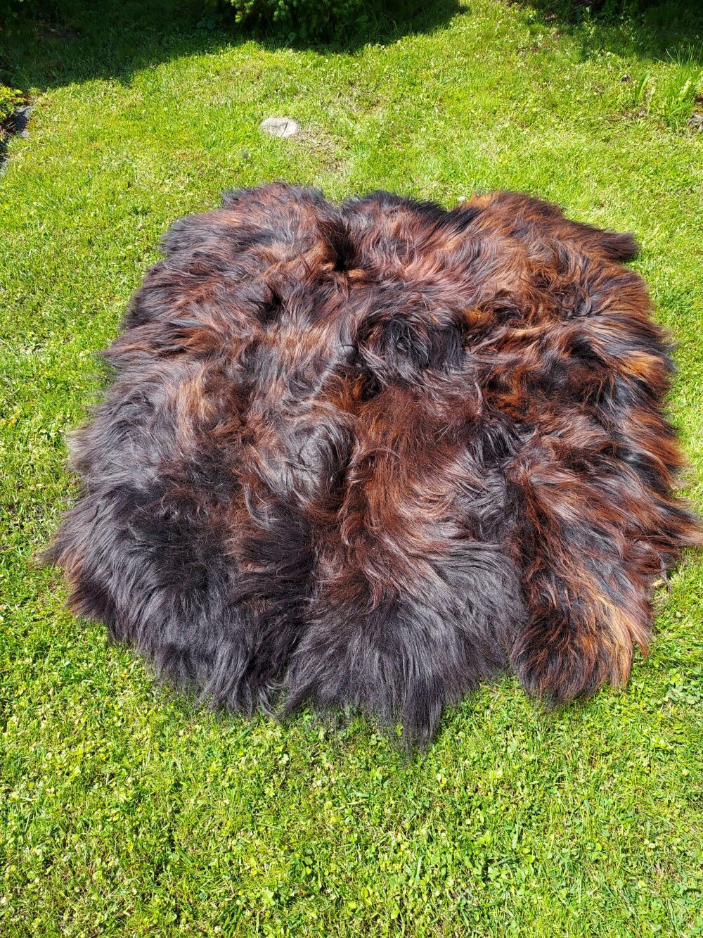 Six Stitched Leathers “Island” Natural Fire Black Stitched sheepskins Producent owczych skór dekoracyjnych | Tannery Sheepskin | KalSkór 6