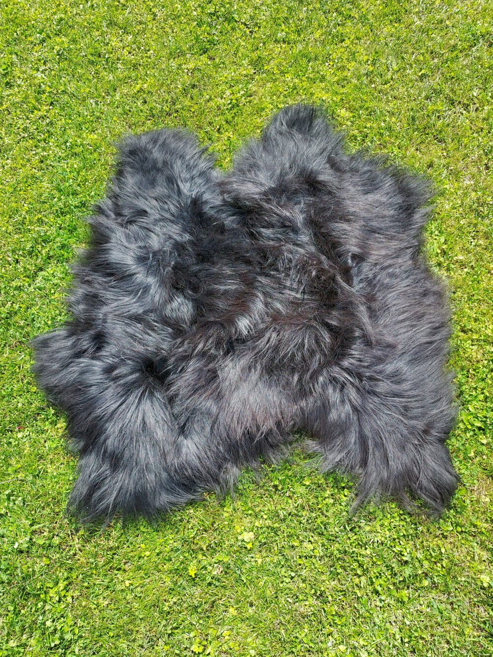 Two Leather Stitched Back Island Natural Black Stitched sheepskins Producent owczych skór dekoracyjnych | Tannery Sheepskin | KalSkór 2