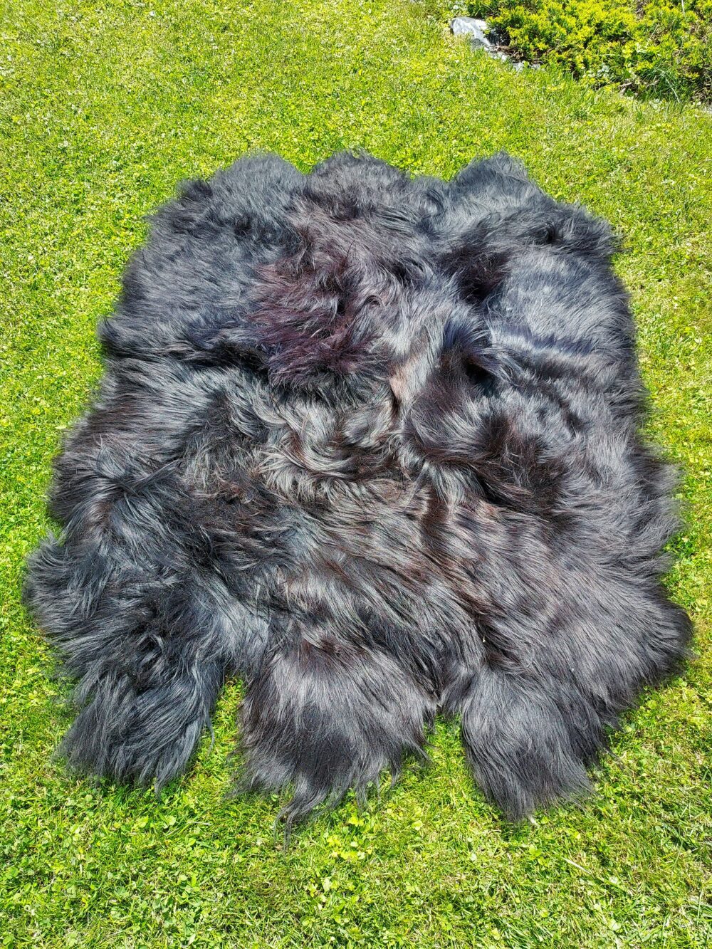 Six Stitched Leathers “Island” Natural Black Stitched sheepskins Producent owczych skór dekoracyjnych | Tannery Sheepskin | KalSkór 4