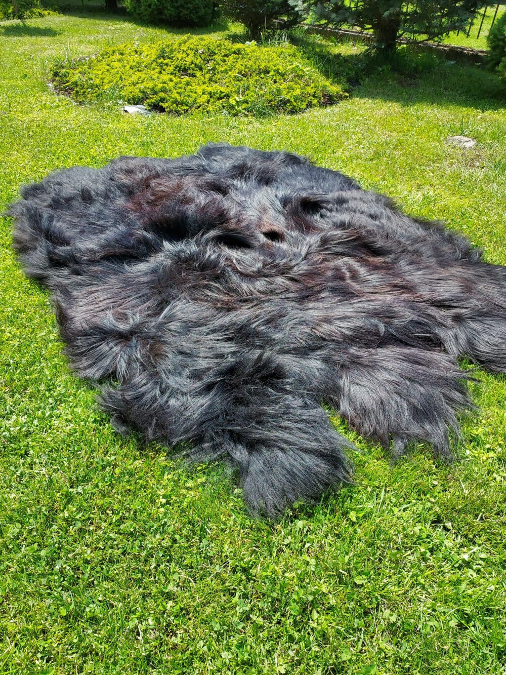 Six Stitched Leathers “Island” Natural Black Stitched sheepskins Producent owczych skór dekoracyjnych | Tannery Sheepskin | KalSkór 2