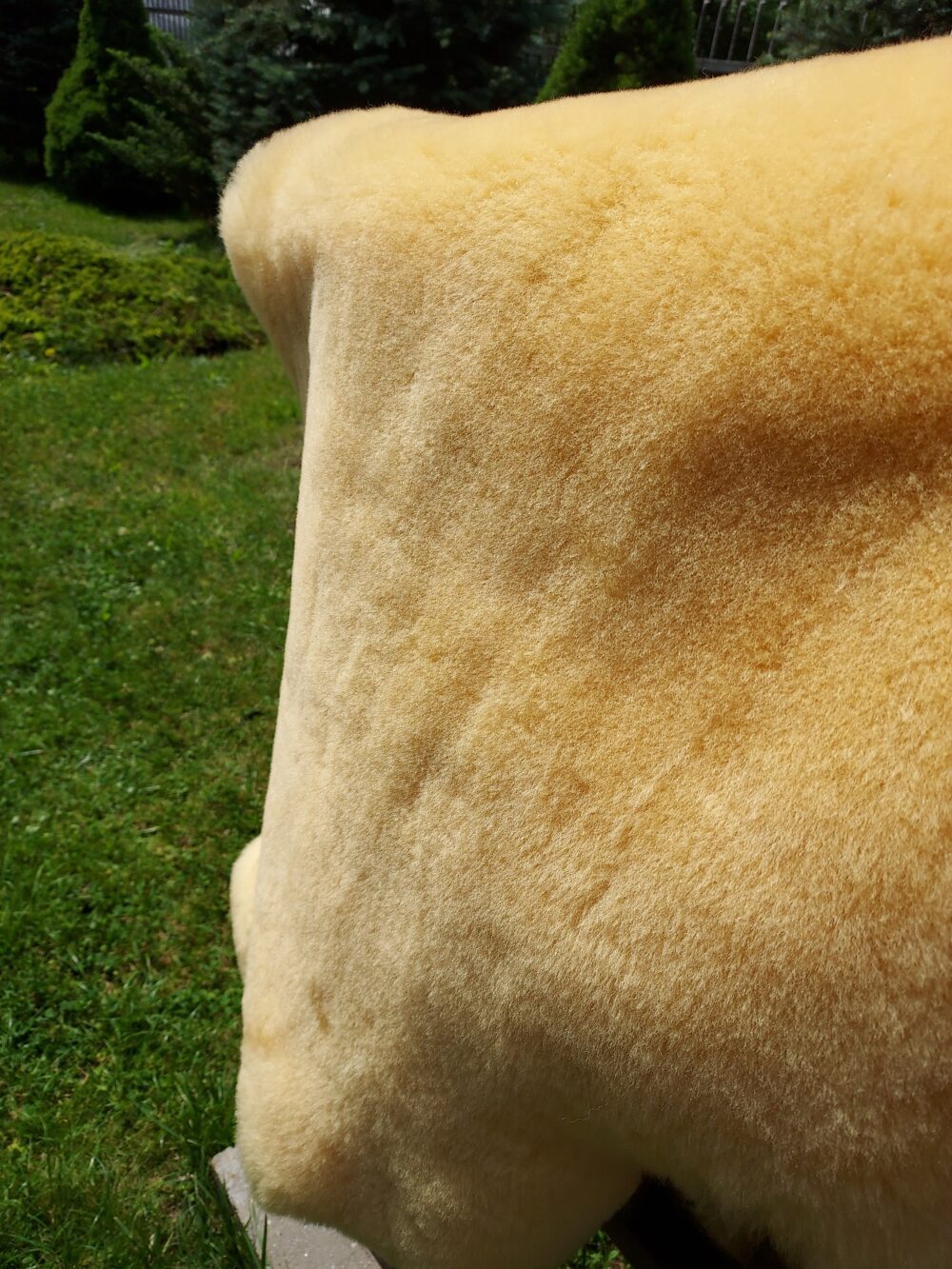 Two Leather Stitched Back Relugan Medical Stitched sheepskins Producent owczych skór dekoracyjnych | Tannery Sheepskin | KalSkór 7