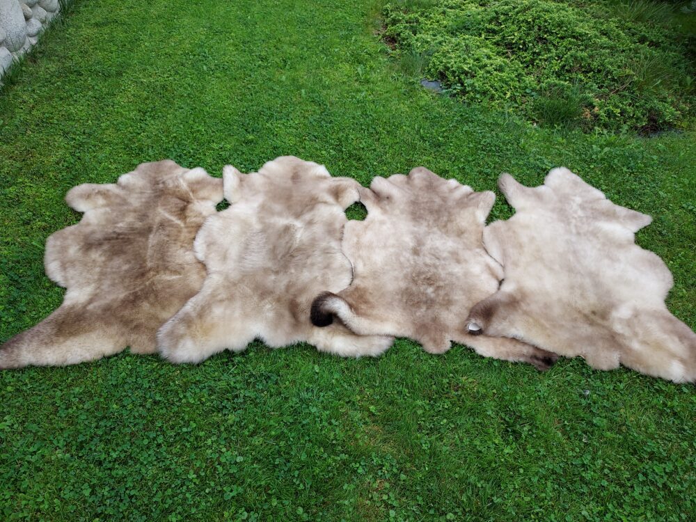 Natural Sheepskin  Blackhead. in natural colours Producent owczych skór dekoracyjnych | Tannery Sheepskin | KalSkór 10
