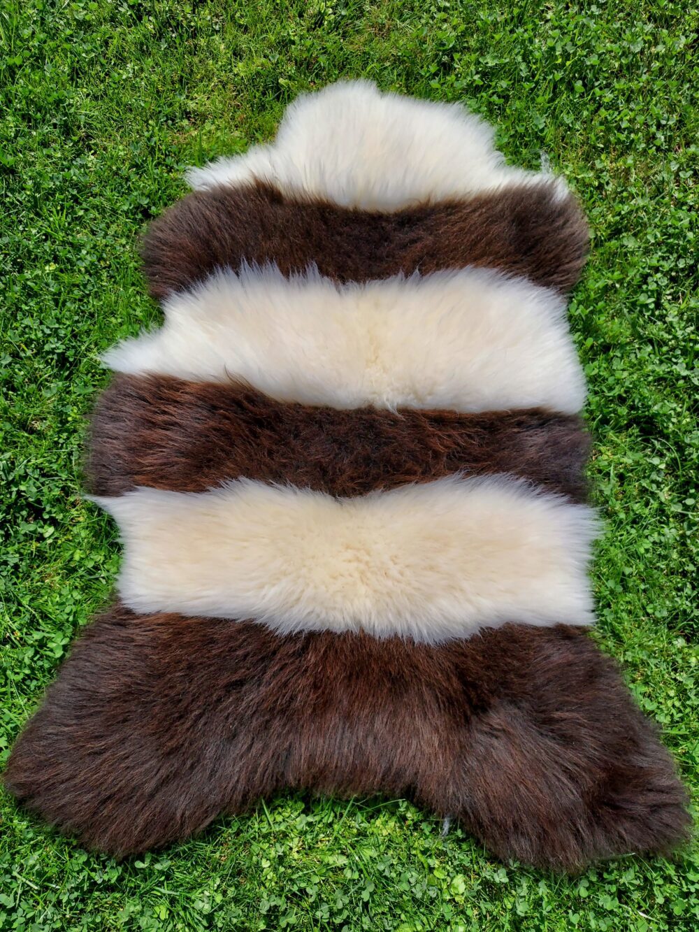 Sheepskin Natural Zebra Stitched sheepskins Producent owczych skór dekoracyjnych | Tannery Sheepskin | KalSkór 3