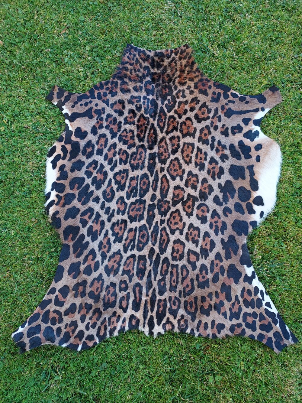 Leopard Leather Animal Carpet Natural Goatskin Leather Leopard Pattern Decorative skins Producent owczych skór dekoracyjnych | Tannery Sheepskin | KalSkór 2
