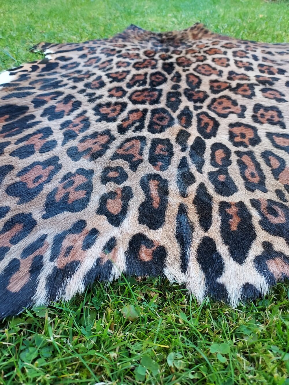 Leopard Leather Animal Carpet Natural Goatskin Leather Leopard Pattern Decorative skins Producent owczych skór dekoracyjnych | Tannery Sheepskin | KalSkór 6
