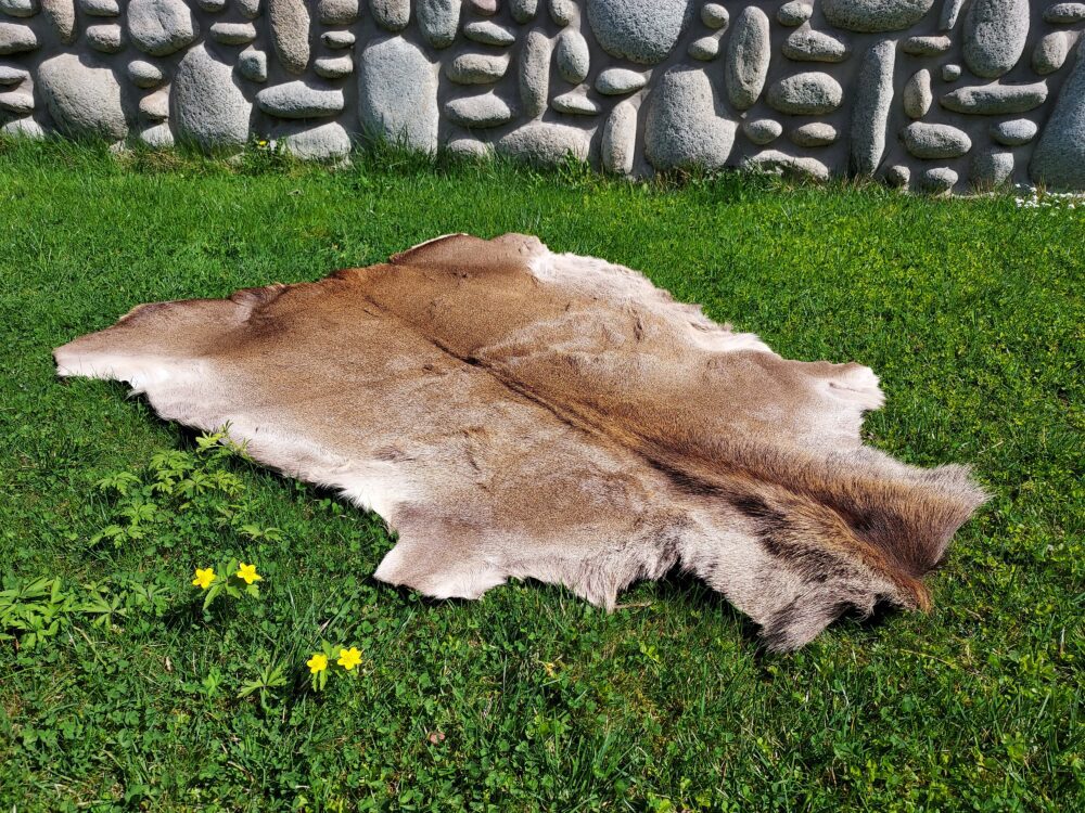 Decorative Deer Leather Natural Deer Leather Decorative skins Producent owczych skór dekoracyjnych | Tannery Sheepskin | KalSkór 4
