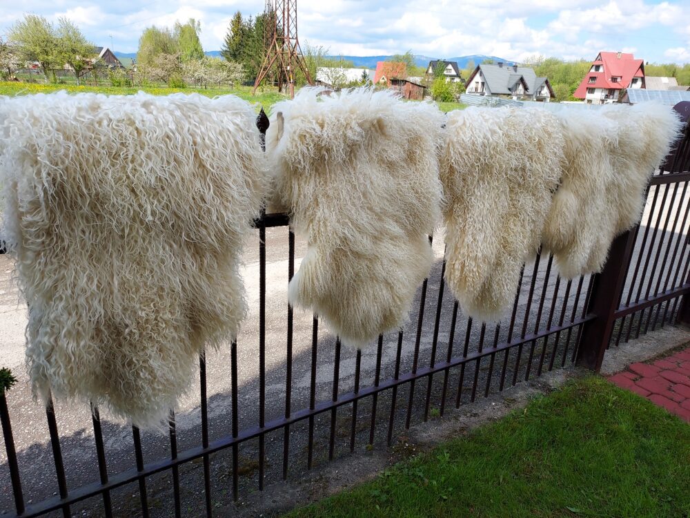 Swedish Sheepskin White Natural Decorative skins Producent owczych skór dekoracyjnych | Tannery Sheepskin | KalSkór 3