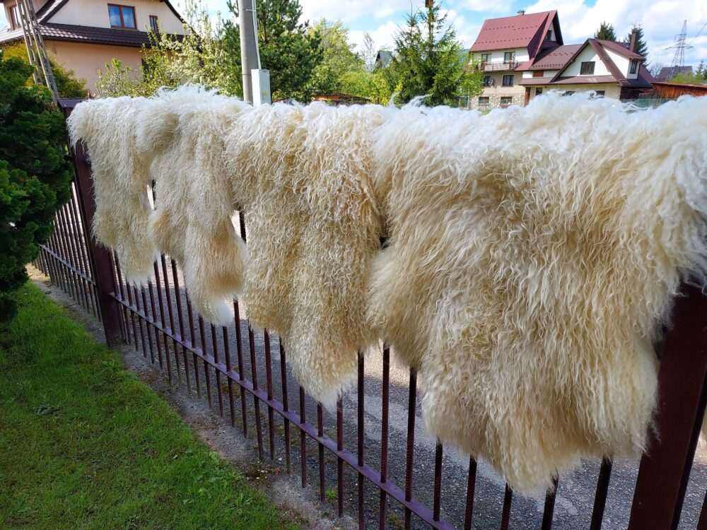 Swedish Sheepskin White Natural Decorative skins Producent owczych skór dekoracyjnych | Tannery Sheepskin | KalSkór 7