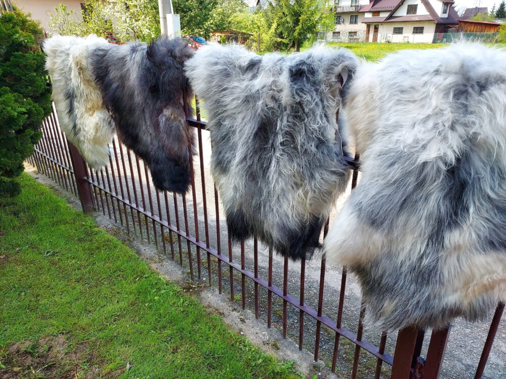 Swedish Sheepskin MELERADE Decorative skins Producent owczych skór dekoracyjnych | Tannery Sheepskin | KalSkór 4