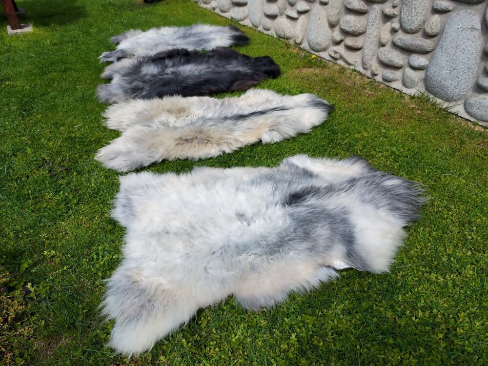 Swedish Sheepskin MELERADE Decorative skins Producent owczych skór dekoracyjnych | Tannery Sheepskin | KalSkór 8