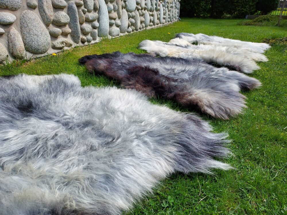 Szwedzka Skóra Owcza MELERADE Skóry dekoracyjne Producent owczych skór dekoracyjnych | Tannery Sheepskin | KalSkór 6